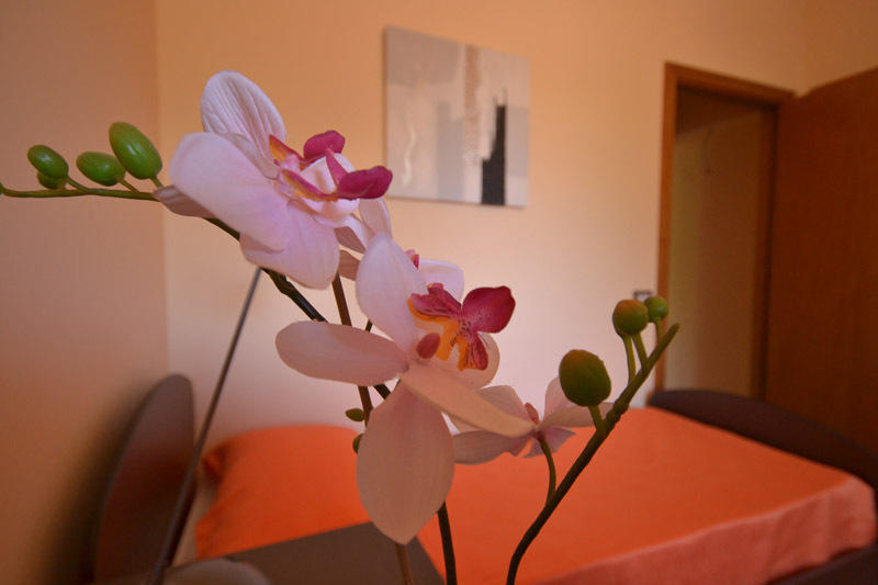 Adriana Bed & Breakfast Comiso